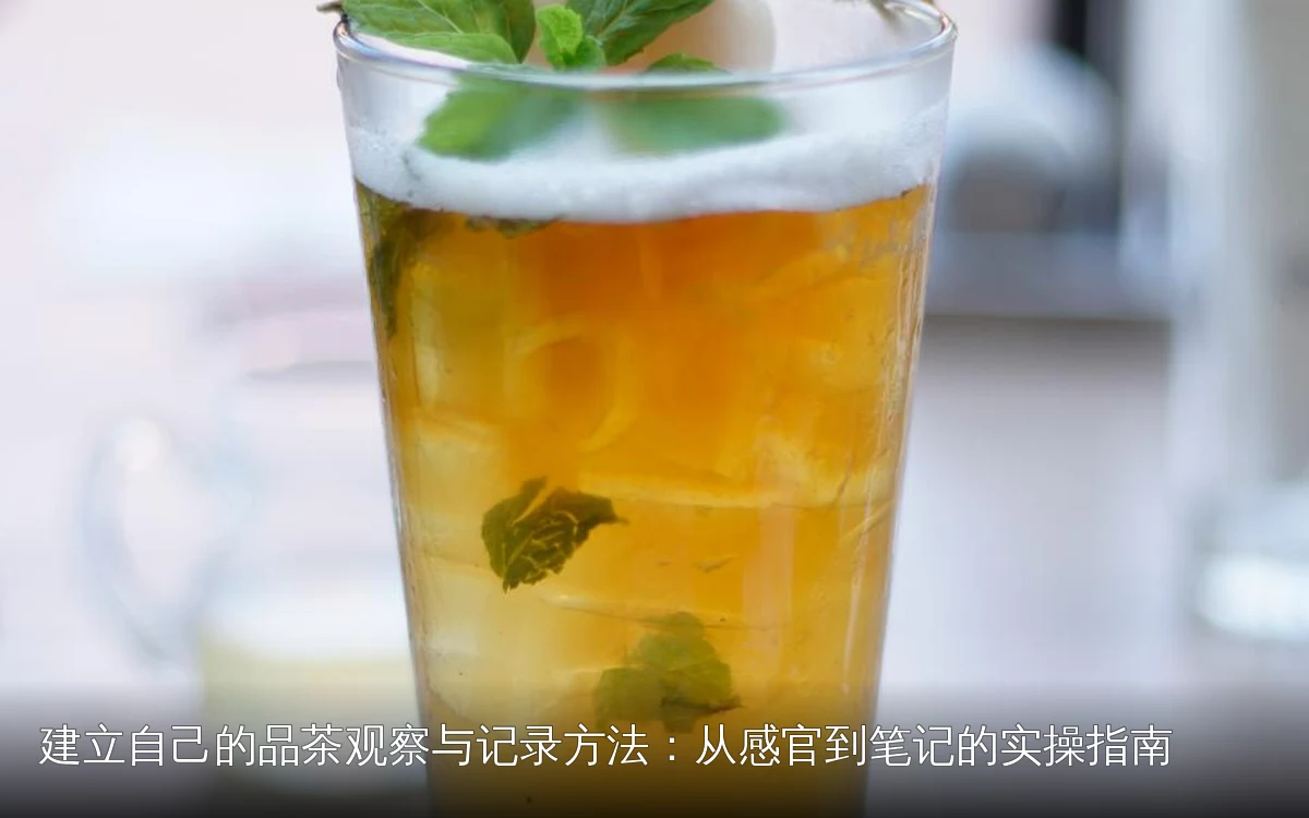 建立自己的品茶观察与记录方法：从感官到笔记的实操指南