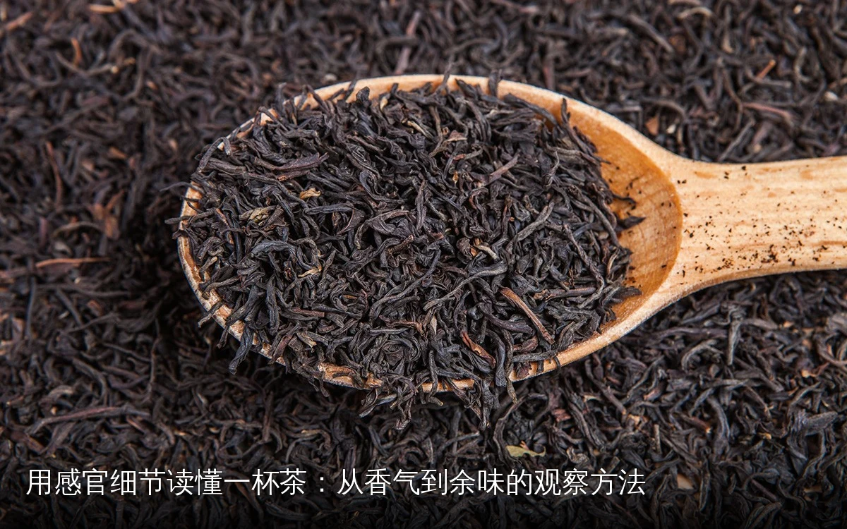 用感官细节读懂一杯茶：从香气到余味的观察方法